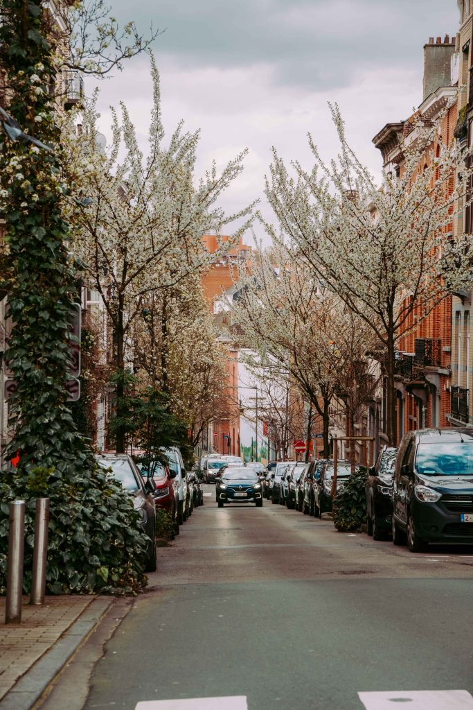 Residential street in Brussels lined with blooming trees and parked cars
